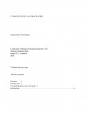 EL MALESTAR EN LA GLOBALIZACION.