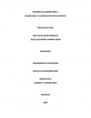 Informe de soluciones.