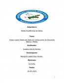 Ensayo sobre Redes de Datos en Instituciones de Educación Básica y Media.