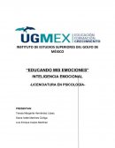Educando mis emociones. Inteligencia emocional