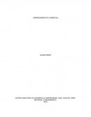 EMPRENDIMIENTO COMERCIAL