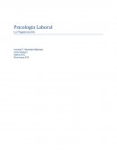 Psicología Laboral , La Organización