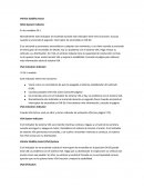 Vehicle Stability Assist (VSA) System Indicator