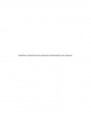 Evaluación desempeño empresas