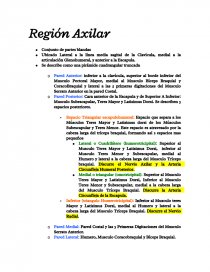 Region Axilar. Página 1