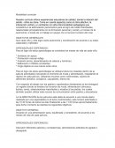 Plan anual sala cuna menor.