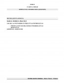 USO DE LAS WH WORDS EN PREGUNTAS INFORMATIVAS