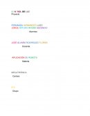 APLICACIÓN DE ROBOTS. MECATRÓNICA