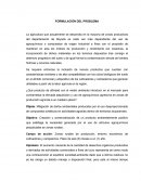FORMULACIÓN DEL PROBLEMA.