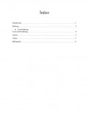 Informe del bullying. Cyber Bullying
