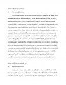 ¿Cómo se hacen los engranajes?