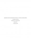 IMPLEMENTACION DE REGISTRO DE ENTRADA Y CONTROL DE MERCADERIAS