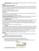 Glucolisis Catabolismo de la glucosa en forma general