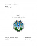 Practica 13 BUFFER AMORTIGUADORES TAMPON