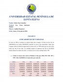 INDICADORES DE RENTABILIDAD Status Quo Company