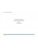 Jerarquía de las necesidades humanas.