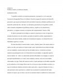 Ensayo Parálisis Cerebral.