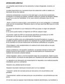 DEFINICIONES GÉNETICA. MITOSIS