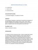 Identific de meetales.