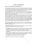 Resumen: Antropología cultural