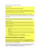 ¿Qué errores estamos cometiendo como sociedad?