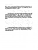 DEFINICION CONCEPTUAL.