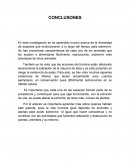 Diversidad de especies.