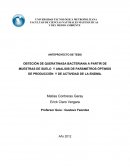 OBTECIÓN DE QUERATINASA BACTERIANA A PARTIR DE MUESTRAS DE SUELO Y ANALISIS DE PARÁMETROS ÓPTIMOS DE PRODUCCIÓN Y DE ACTIVIDAD DE LA ENZIMA.