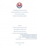 PROYECTO INTEGRADOR DE SABERES .