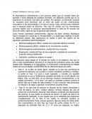 PORQUÉ SOÑAMOS? FASES DEL SUEÑO