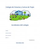 Se define como accidente (del latín accĭdens, -entis) a cualquier suceso que es provocado por una acción violenta y repentina ocasionada por un agente externo involuntario