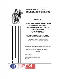 Adicion de un apartado especial para el acreditamiento de la delicuencia organizada. Página 1