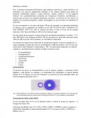 Materiales y métodos