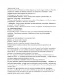 Tejido muscular. MÚSCULO ESQUELÉTICO