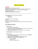 REGION ORBITARIA PARPADOS