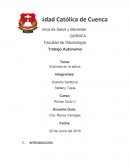 De la salivación a la descomposición: La función esencial de la saliva en el cuerpo humano