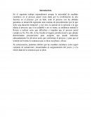 En el siguiente trabajo expondremos porque la necesidad de medidas cautelares