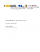 Ingeniería de Sistemas Sistemas Duros