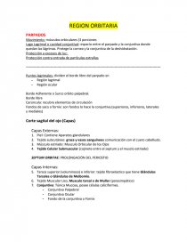 REGION ORBITARIA PARPADOS. Página 1