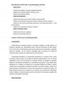 Manifestación de las degradaciones