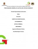 Carpeta de investigacion.