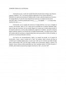 COMISIÓN FEDERAL DEL ELECTRICIDAD.