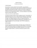 MICROENTORNO 5 FUERZAS DE PORTER COMPETIDORES