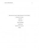 Intervención de la Junta de calidad Ambiental en el Caso El Jibarito