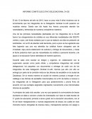 INFORME COMITÉ EJECUTIVO DELEGACIONAL D-I-28