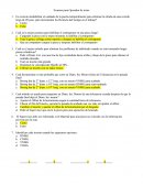 Exmamen de programadores