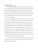 El aborto en la sociedad.
