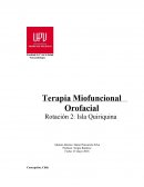 Terapia Miofuncional Orofacial