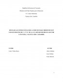 DEVELAR LAS CONSECUENCIAS DEL ACOSO ESCOLAR CIBERNETICO EN LOS ESTUDIANTES DE 1ro., 2do. Y3ro. DE LA U.E ARTURO MICHELENA SECTOR CAÑAVERAL, VALENCIA EDO. CARABOBO.