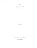 Servicio Nacional de Aprendizaje SENA.